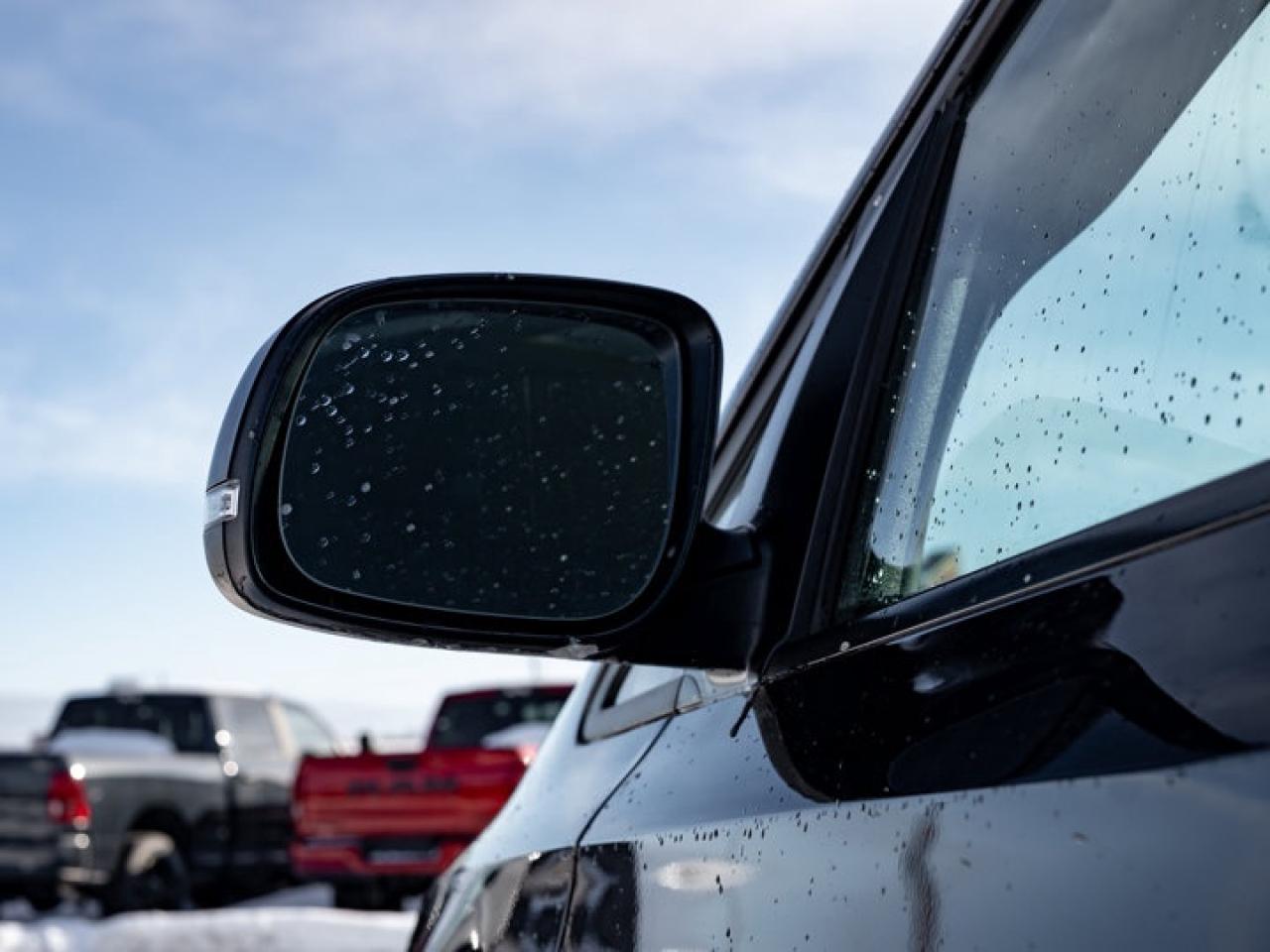 2019 Kia Sedona L Photo