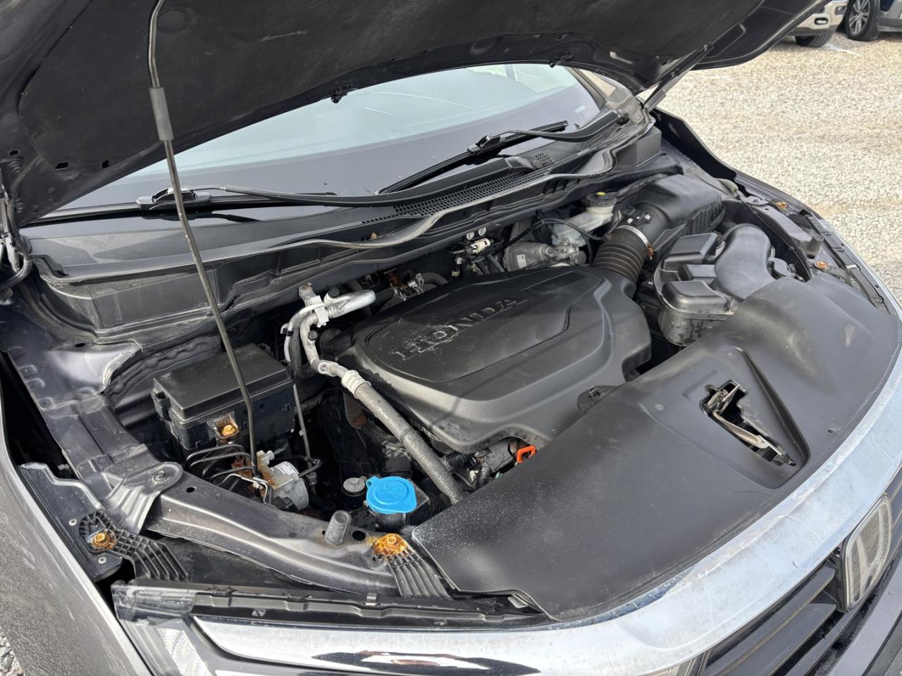 2022 Honda Odyssey EX-L Photo