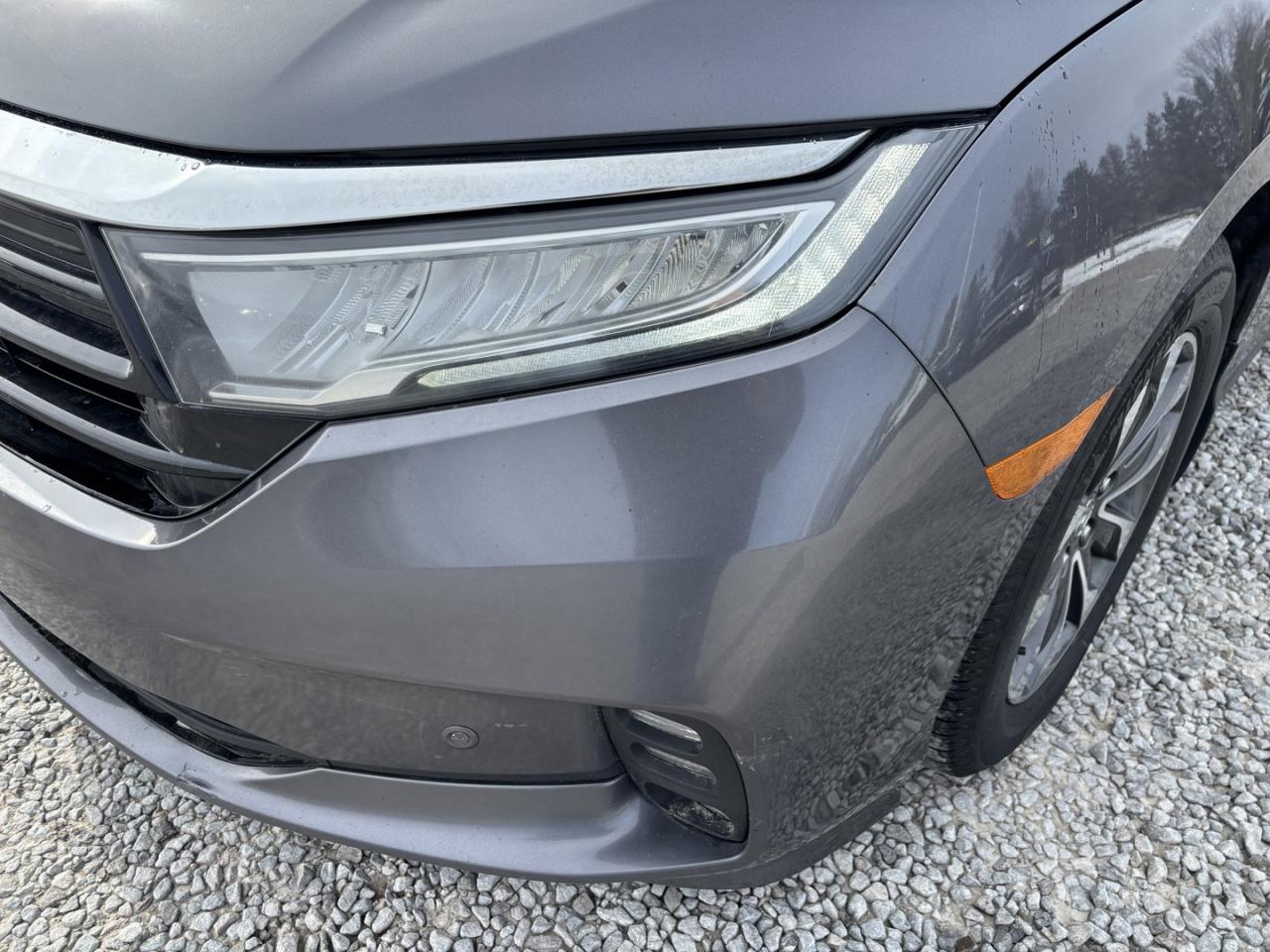 2022 Honda Odyssey EX-L Photo