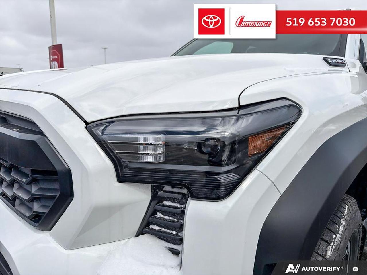 2026 Toyota TACOMA HYBRID  Photo