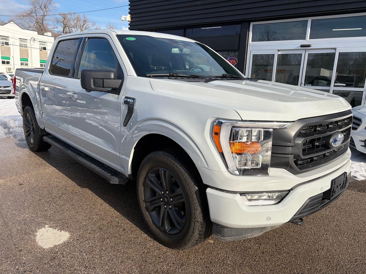 2023 Ford F-150 XLT SPORT Photo