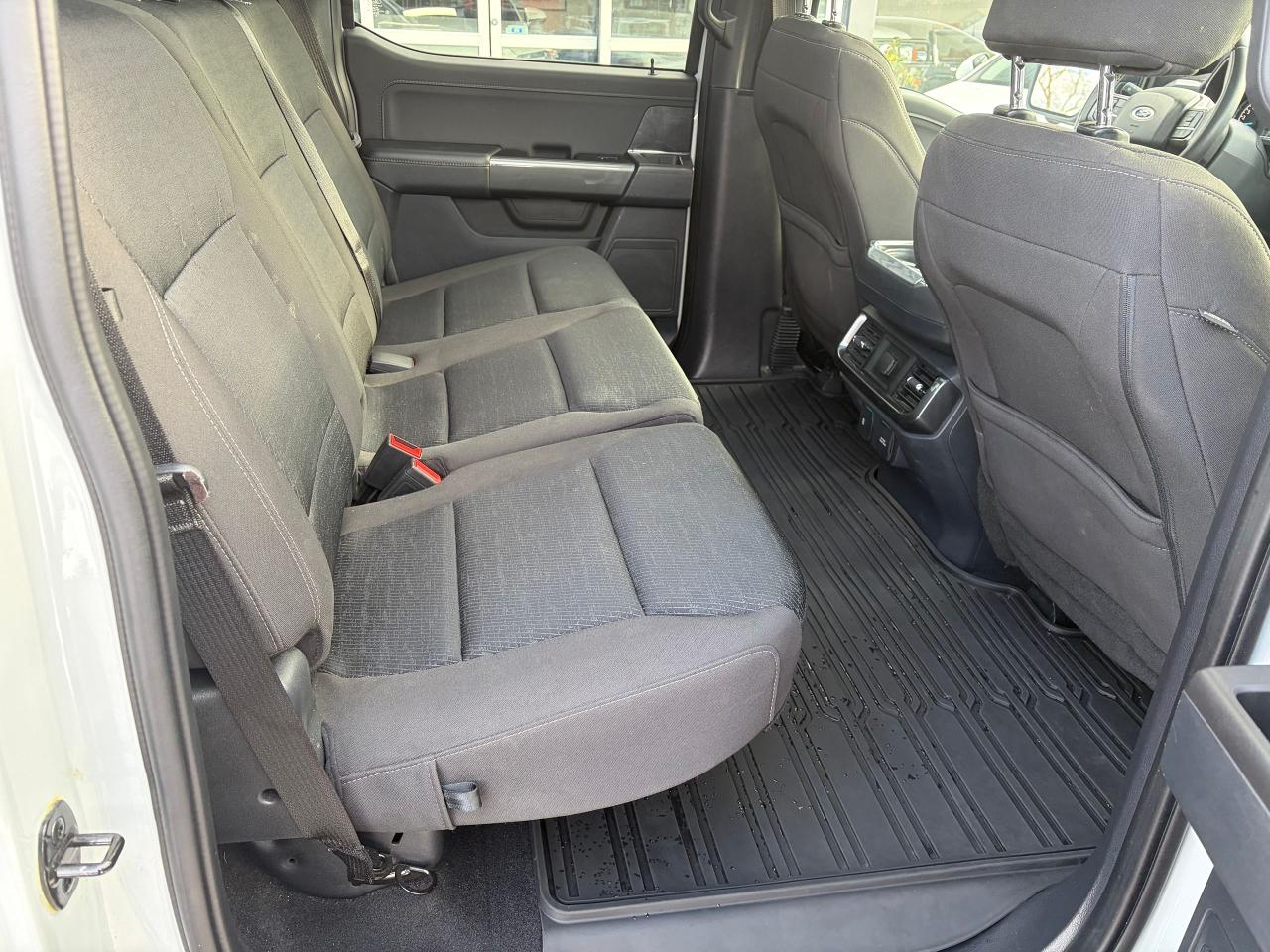 2023 Ford F-150 XLT SPORT Photo