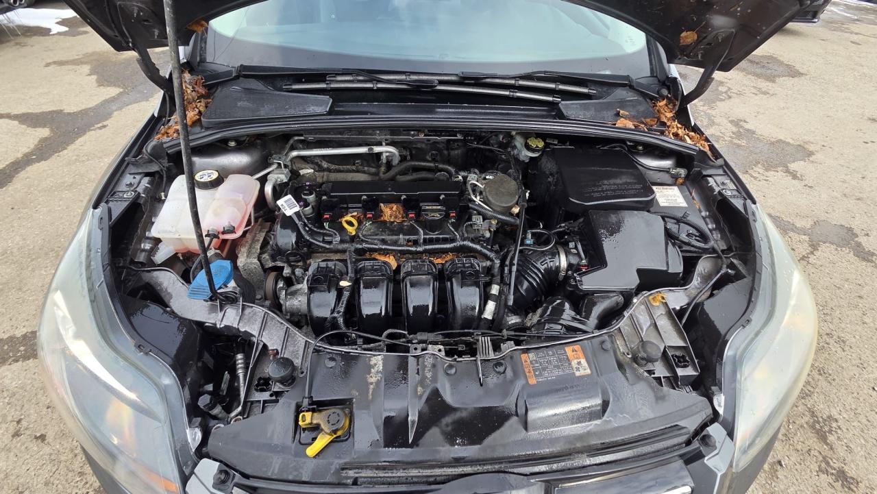 2014 Ford Focus SE Photo