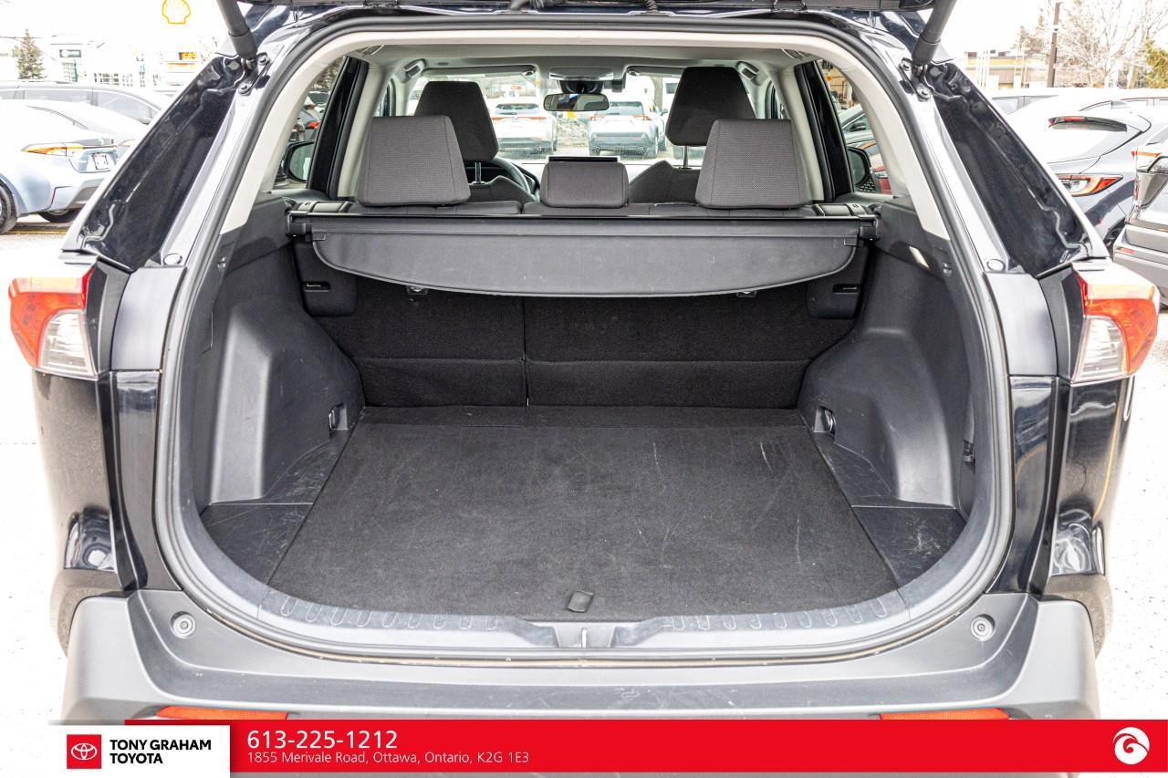 2024 Toyota RAV4 XLE Photo