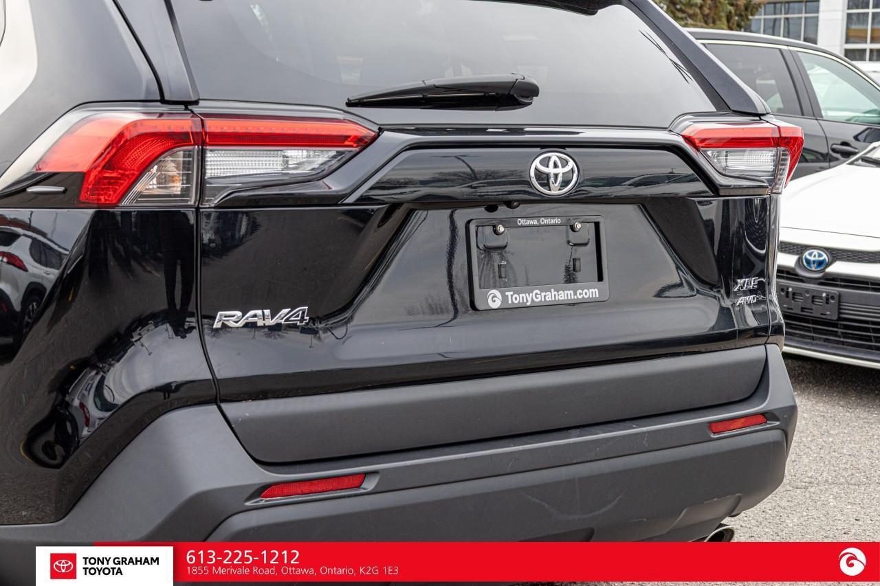 2024 Toyota RAV4 XLE Photo