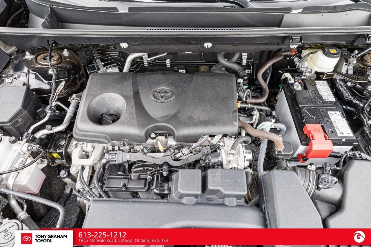 2024 Toyota RAV4 XLE Photo
