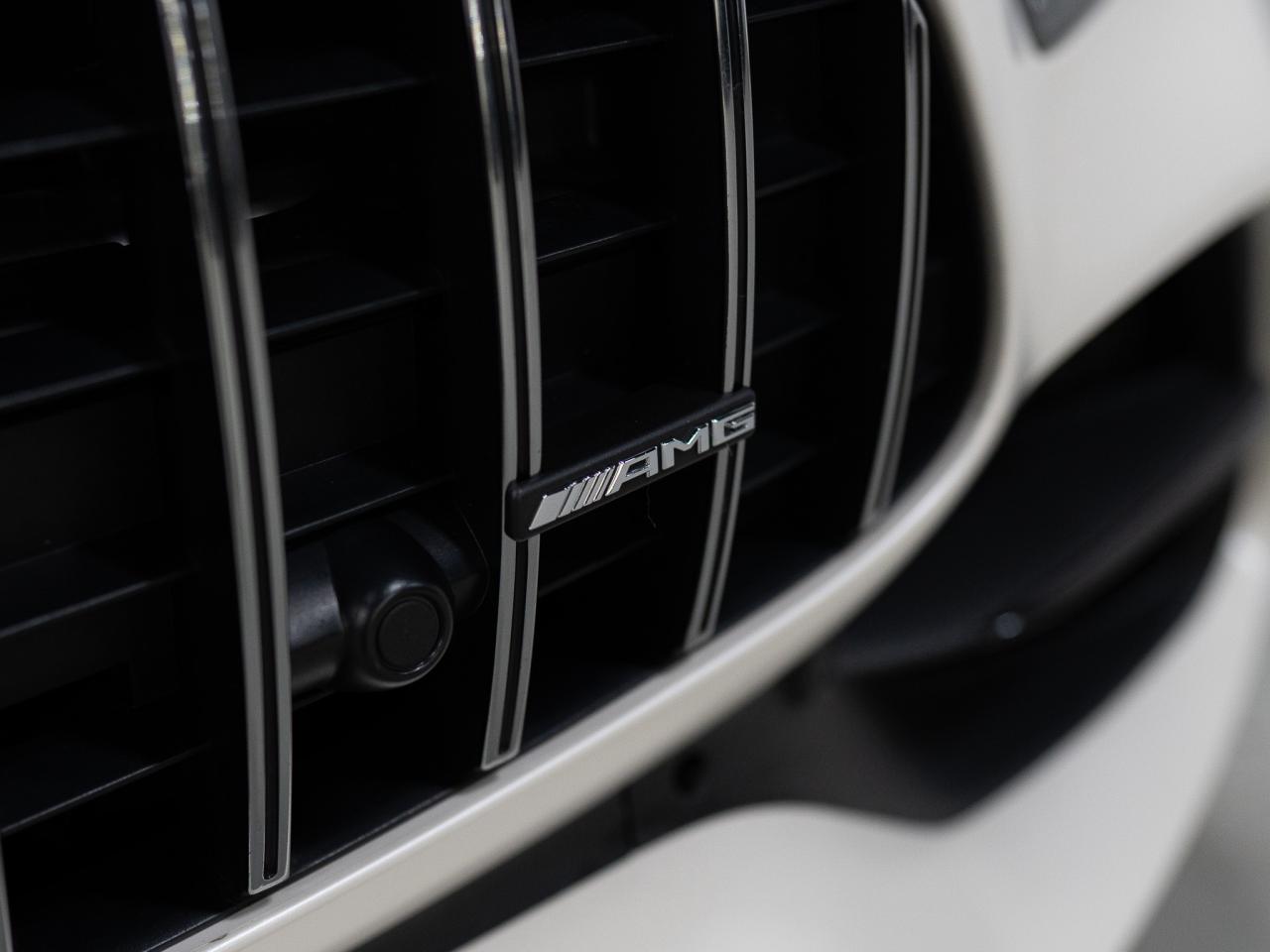 2018 Mercedes-Benz AMG GT C | 50 EDITION | 1/500 | MATTE | BURMESTER Photo