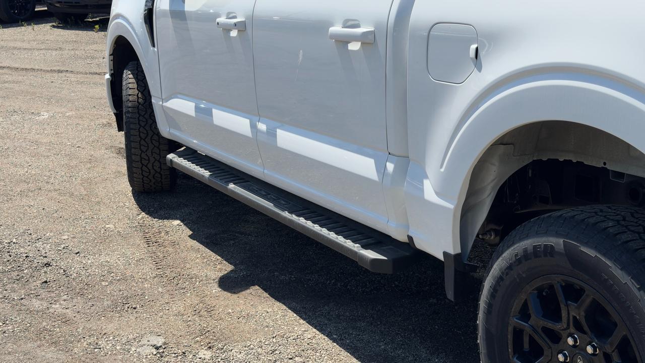 2026 Ford F-150 XLT Photo