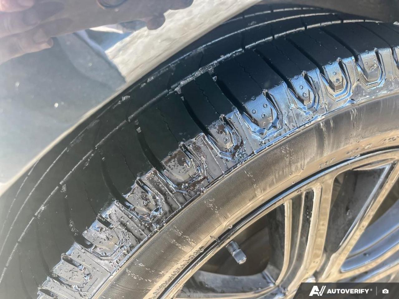 2022 Ford Edge  Photo