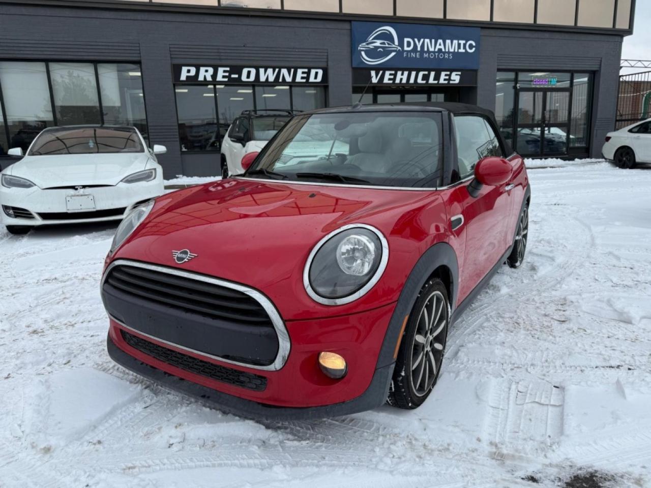 2019 MINI Cooper Convertible COOPER/ NO ACCIDENTS/ LEATHER/ NAVI/ REAR CAM - Photo #10