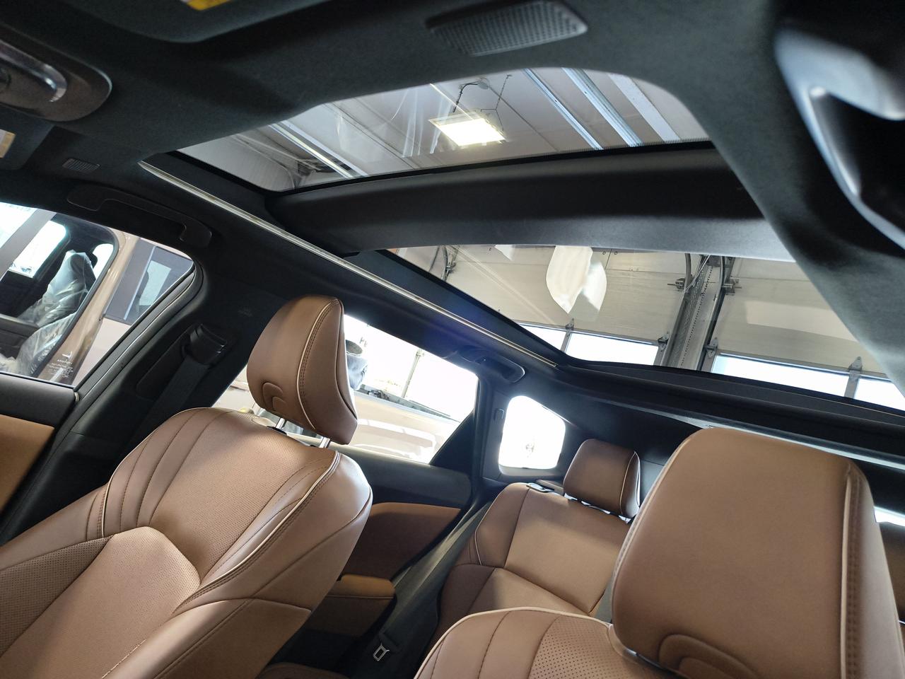 2025 Toyota Crown Signia Limited Photo0