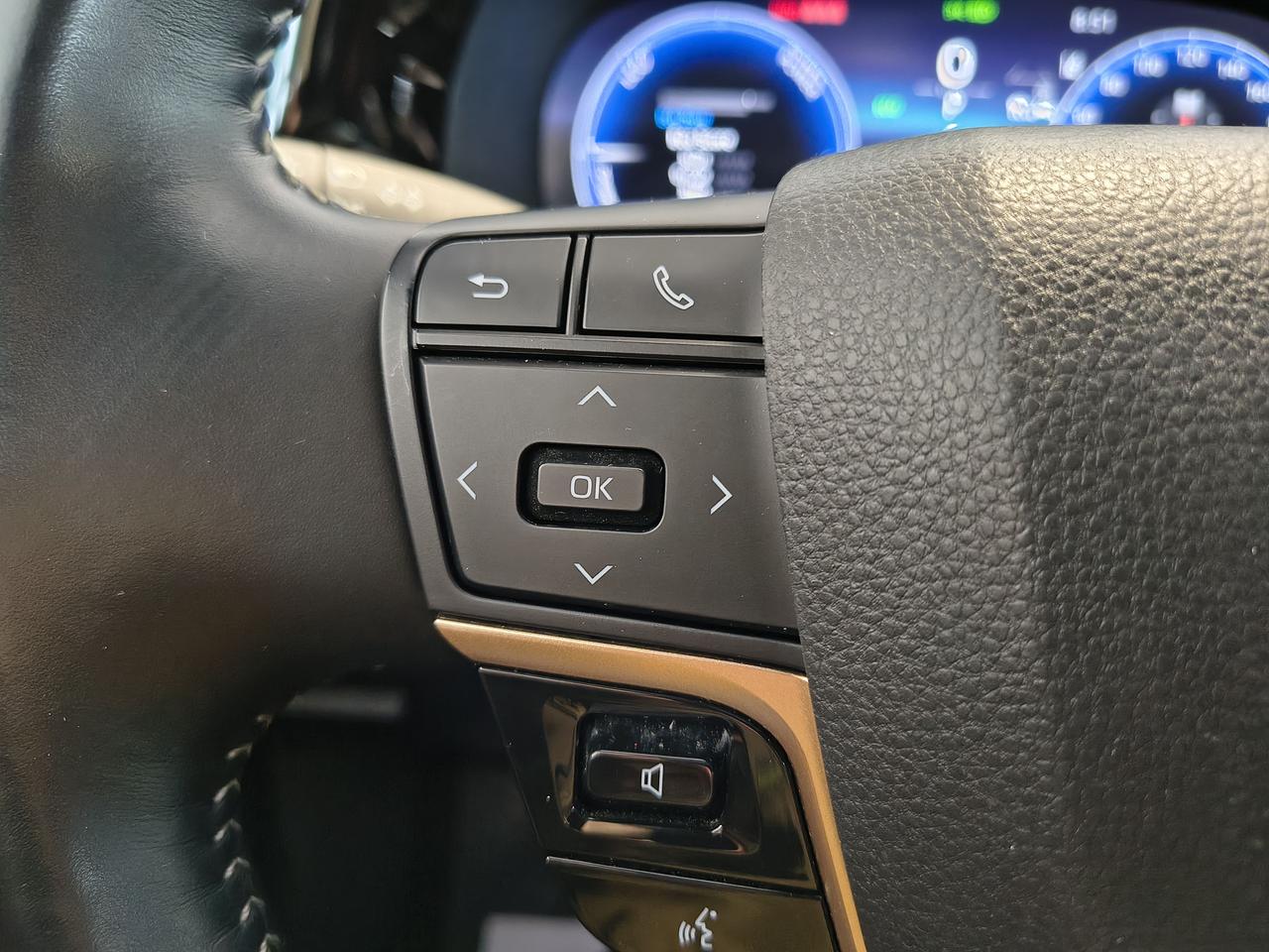 2025 Toyota Crown Signia Limited Photo0