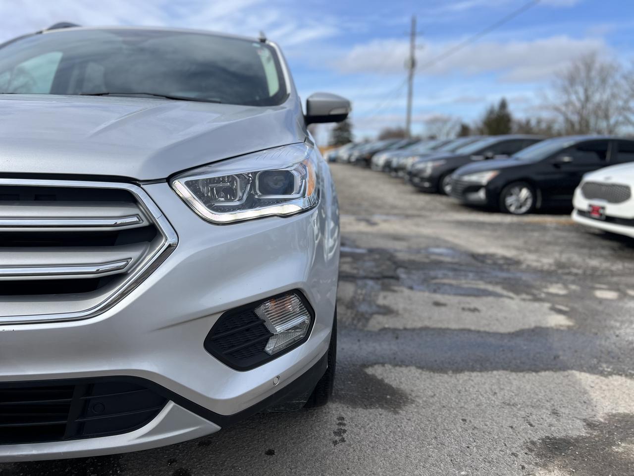 2019 Ford Escape Titanium Photo