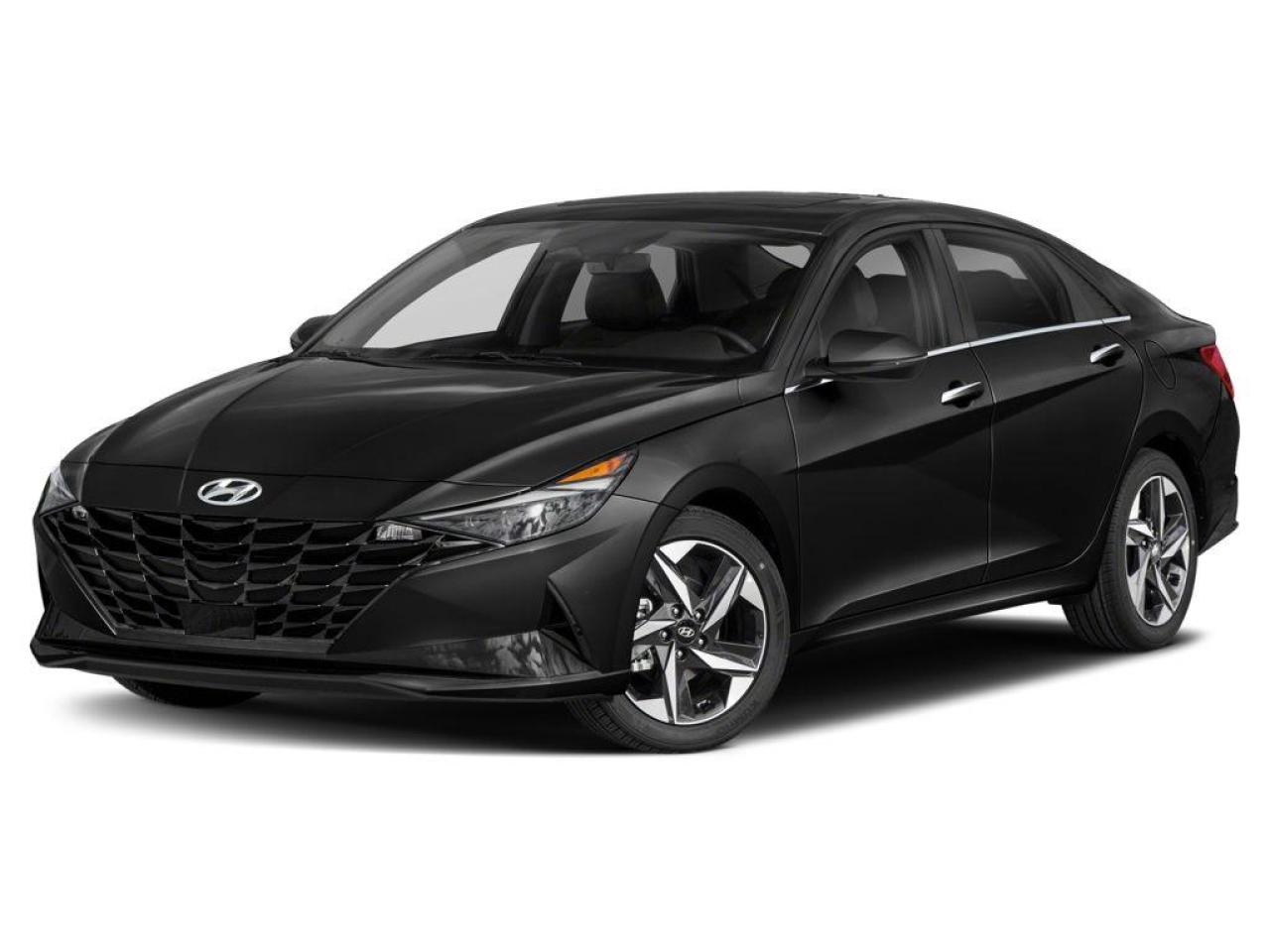 2023 Hyundai Elantra Luxury Photo