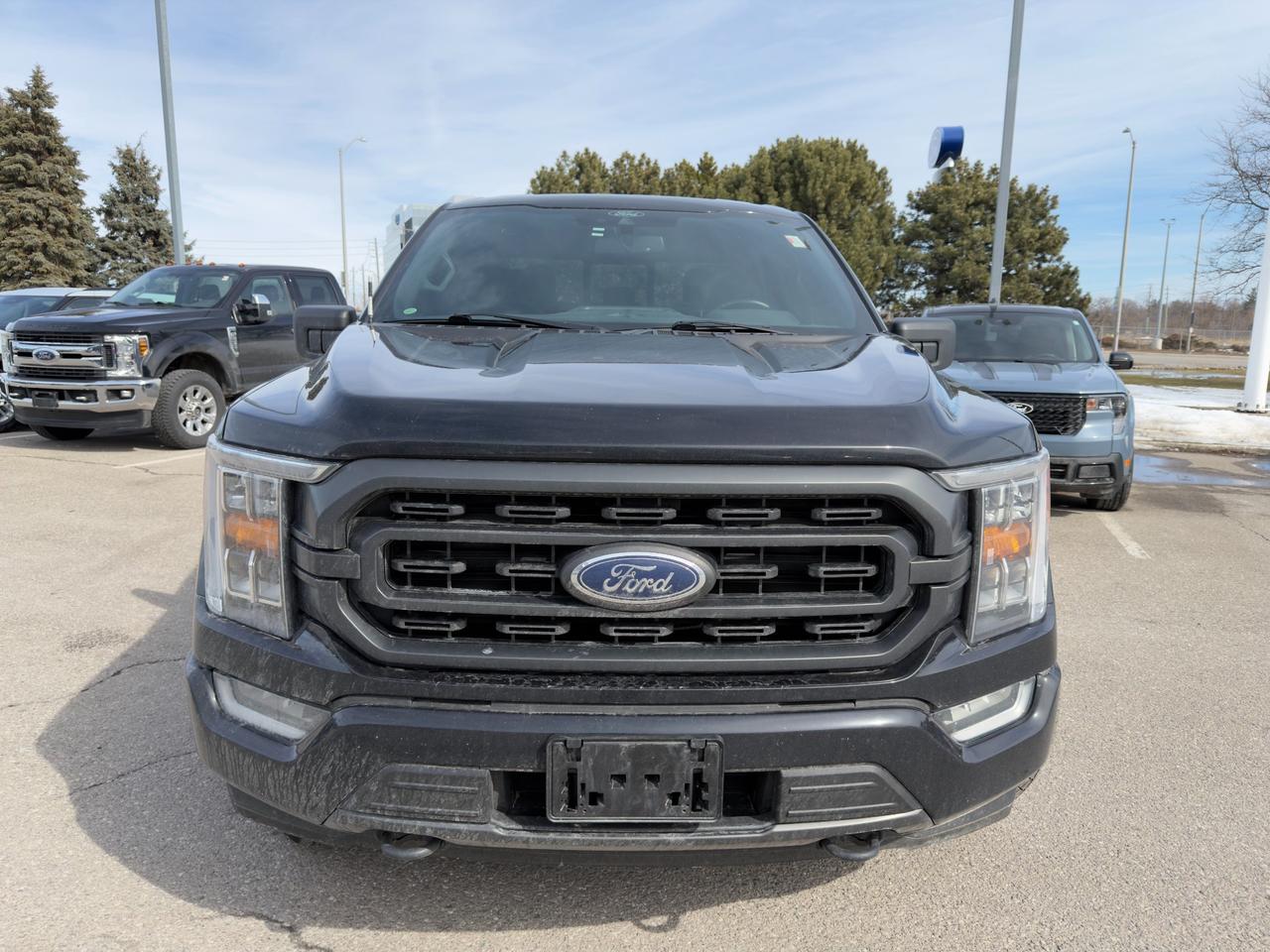 2021 Ford F-150 XLT 302A|SPORT|HTD SEATS|SVC RECORDS|TOW|FX4 Photo