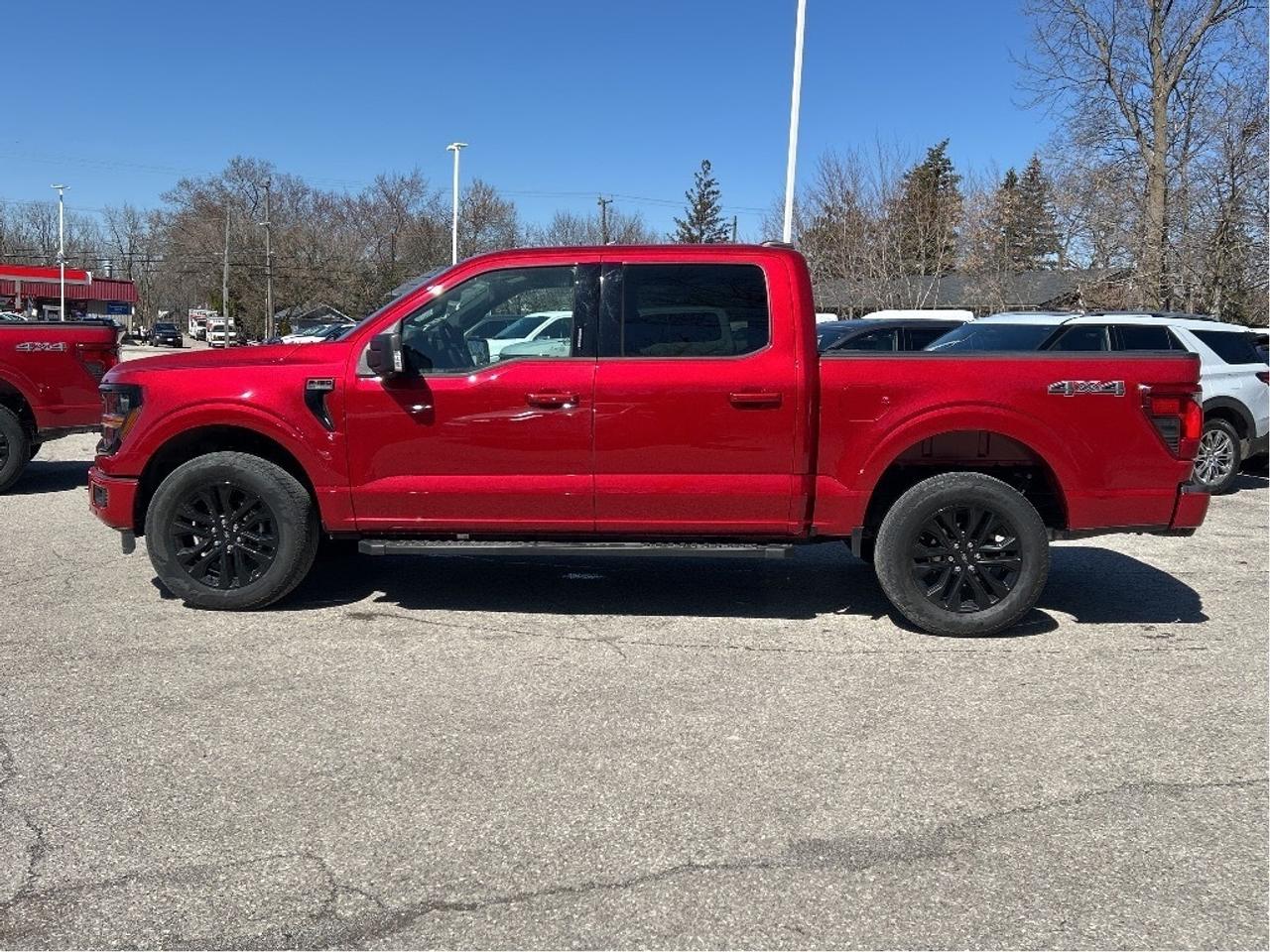 2024 Ford F-150 XLT 4WD SuperCrew 5.5' Box Photo