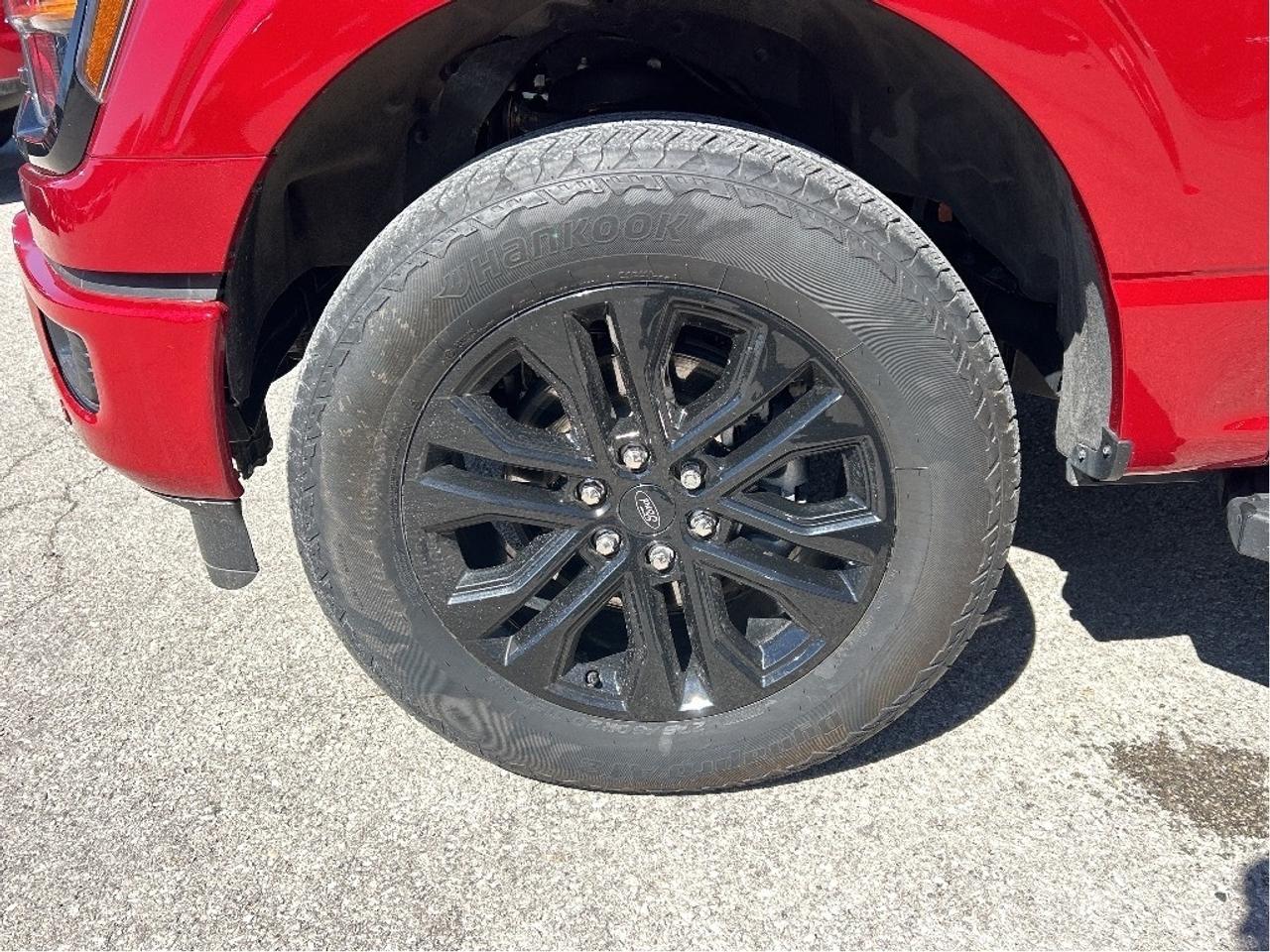 2024 Ford F-150 XLT 4WD SuperCrew 5.5' Box Photo