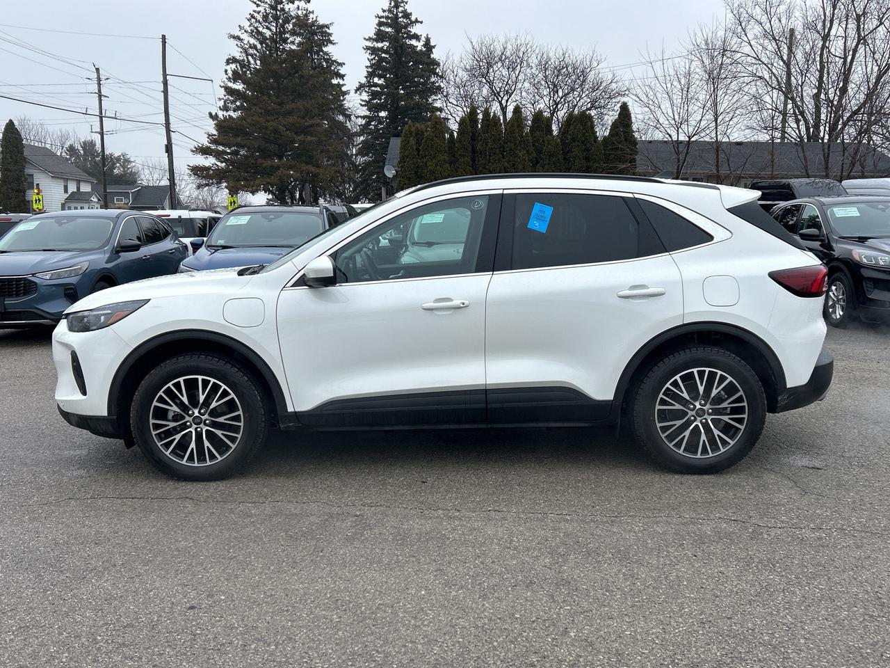 2025 Ford Escape PHEV FWD Photo
