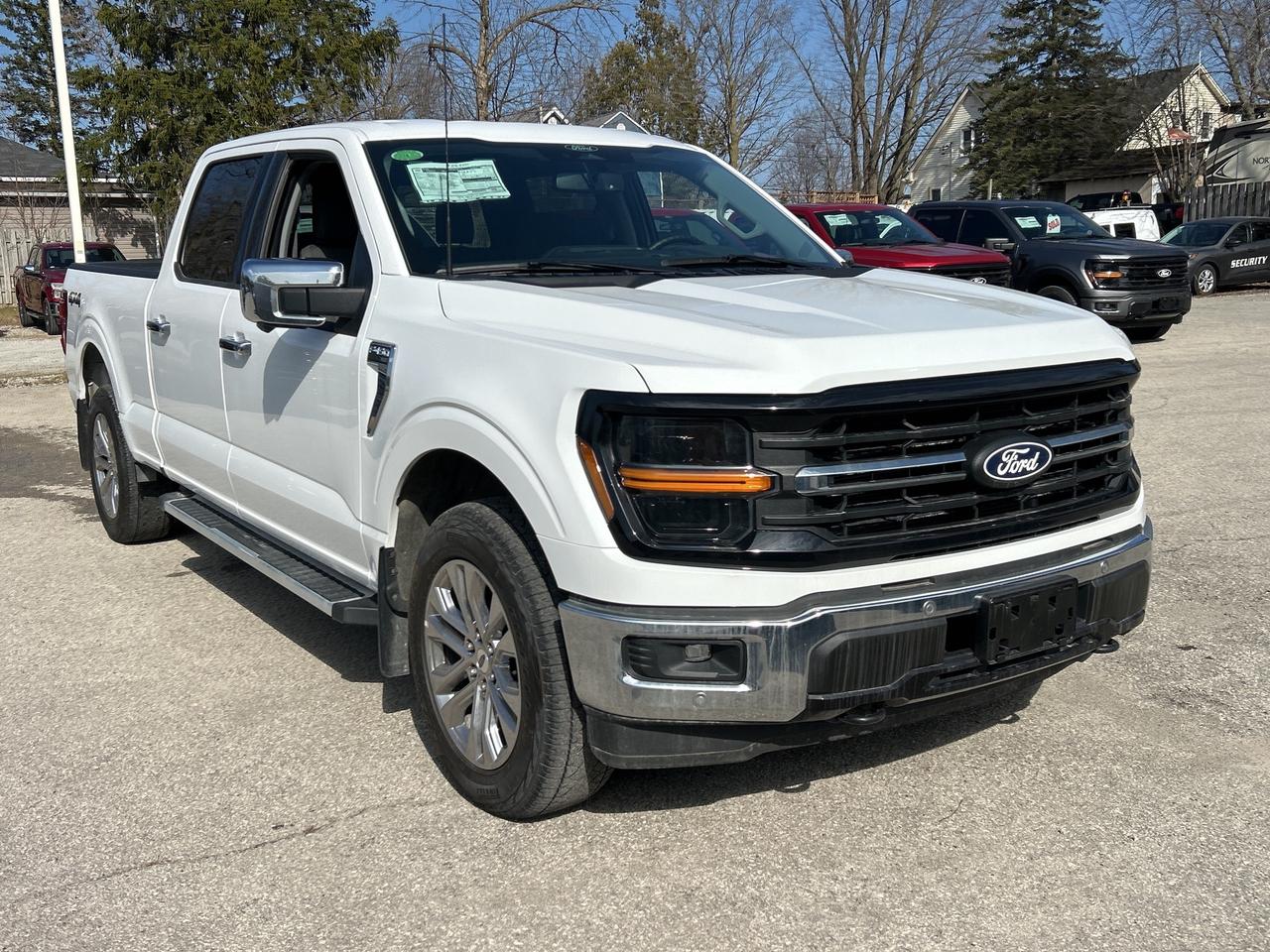 2024 Ford F-150 XLT 4WD SuperCrew 6.5' Box Photo