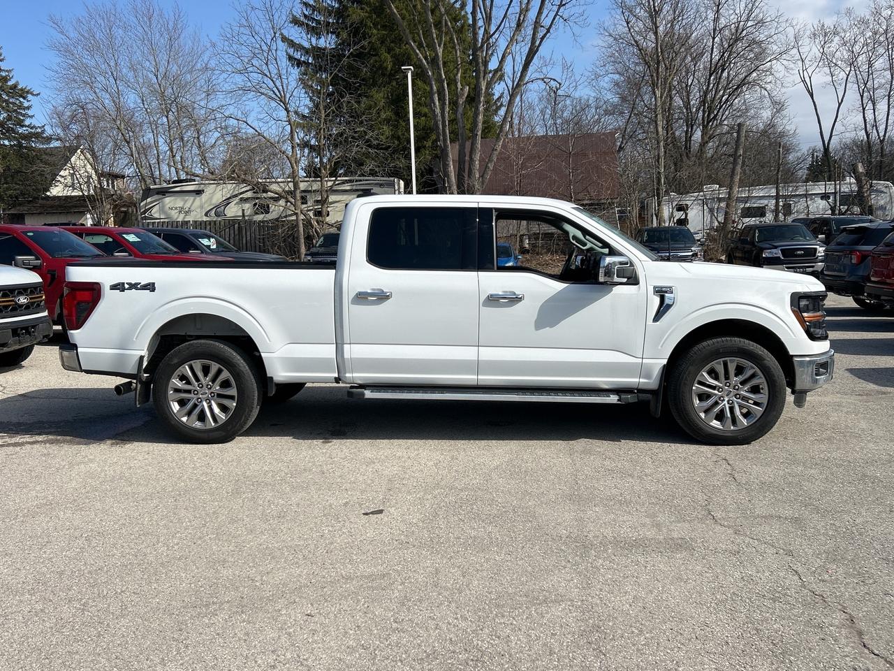 2024 Ford F-150 XLT 4WD SuperCrew 6.5' Box Photo