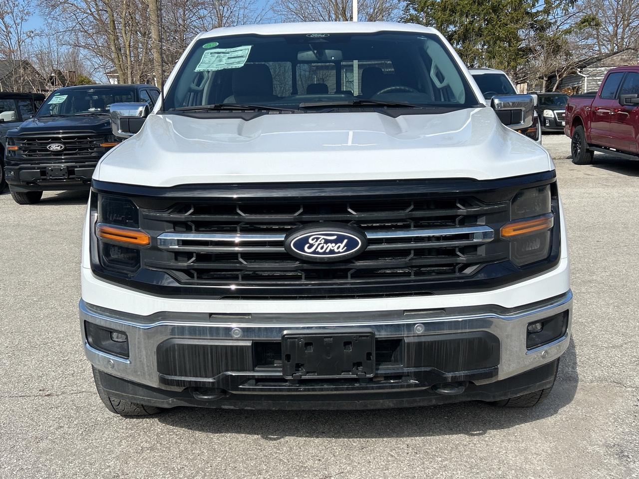 2024 Ford F-150 XLT 4WD SuperCrew 6.5' Box Photo