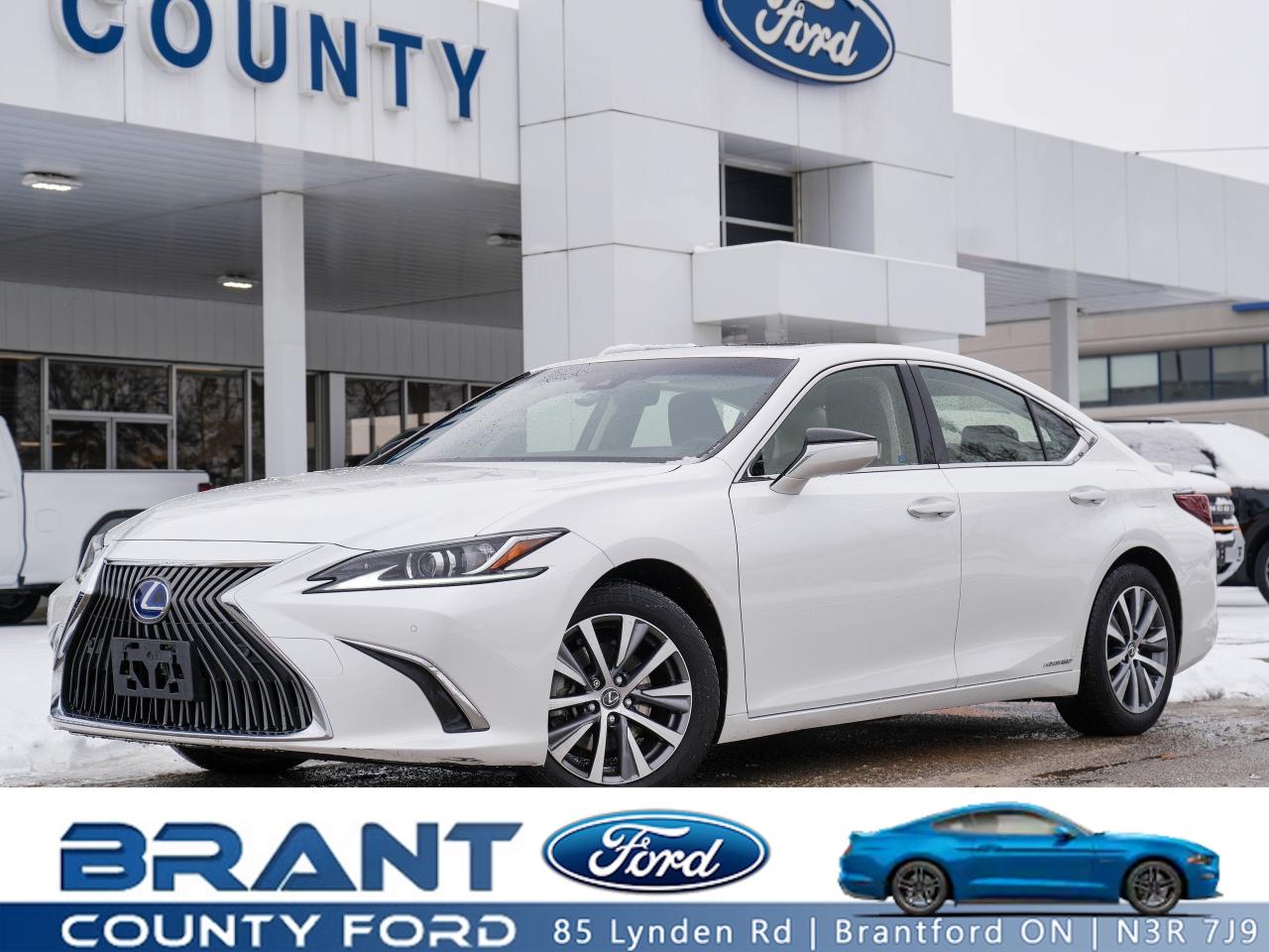 Used 2019 Lexus ES ES 300h for sale in Brantford, ON
