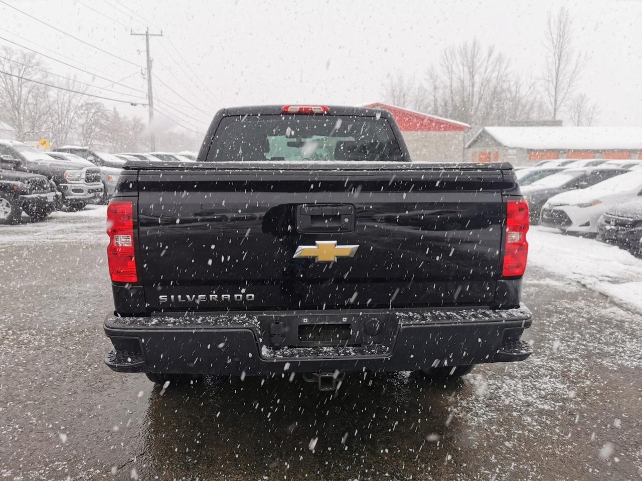 2015 Chevrolet Silverado 1500 Work Truck Photo3