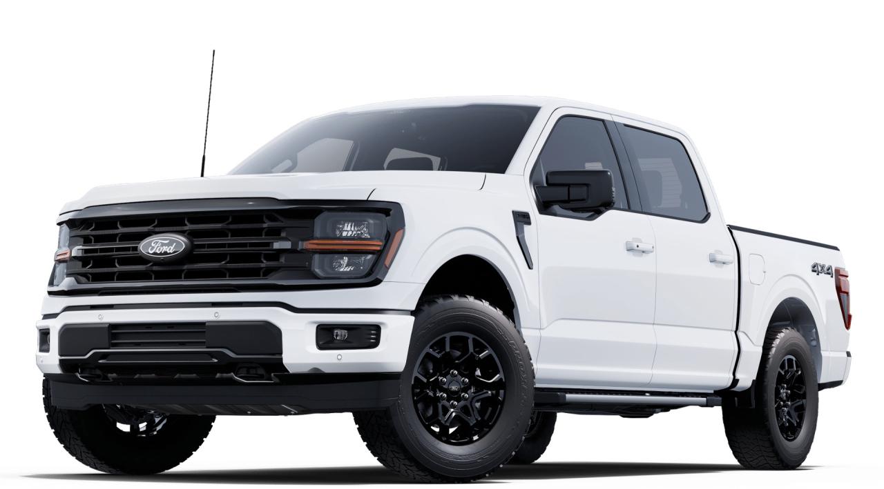 2025 Ford F-150 XLT Photo