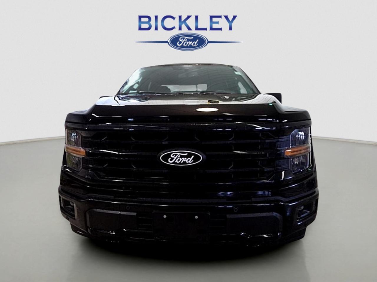 2026 Ford F-150 XLT Photo