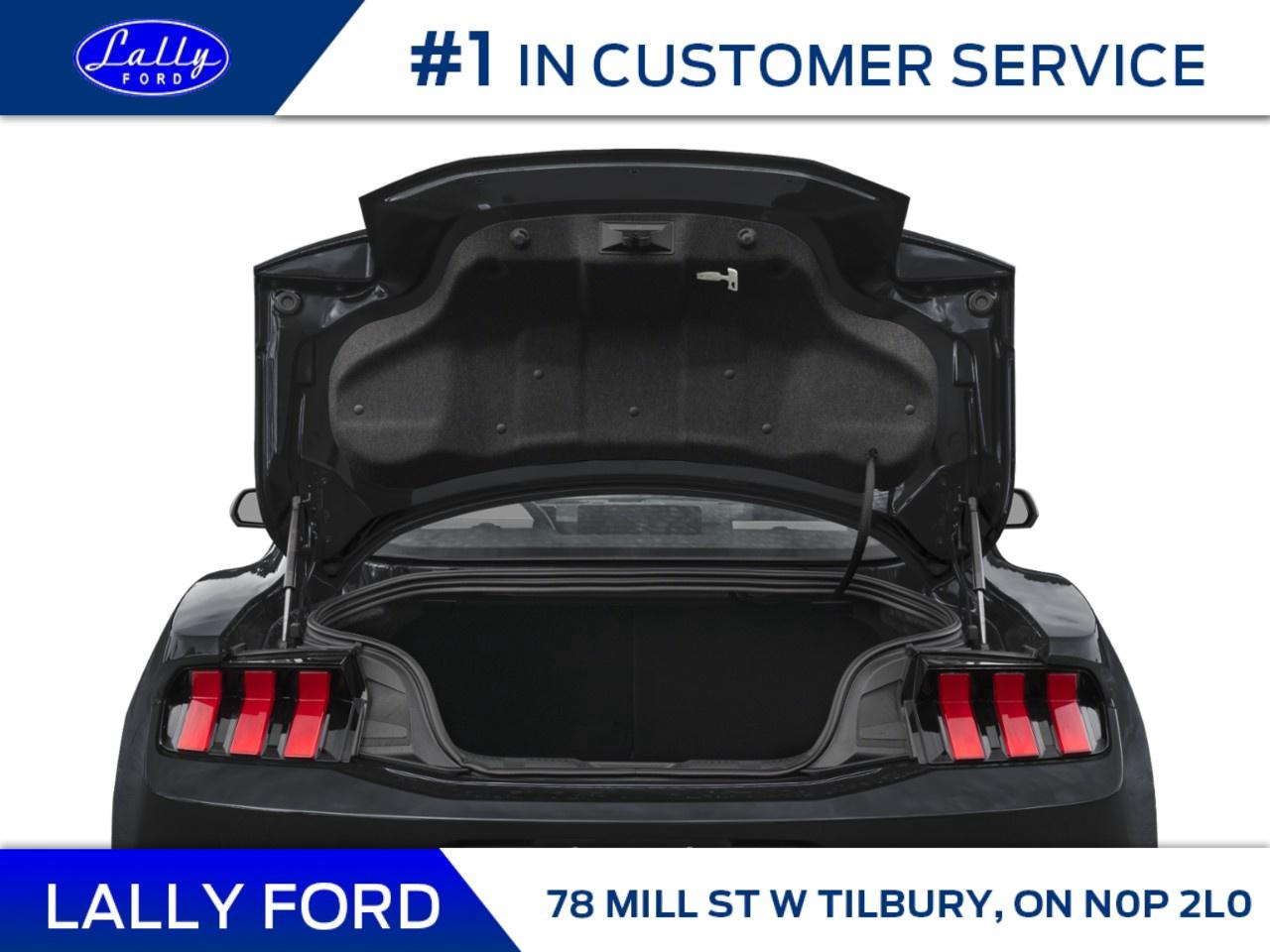 2026 Ford Mustang EcoBoost Premium Fastback Photo