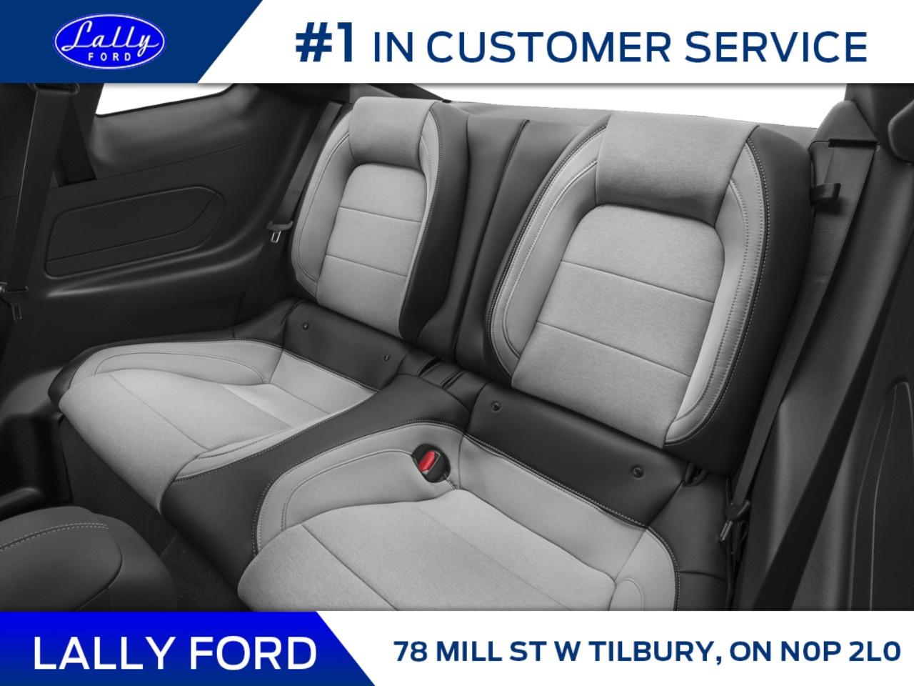 2026 Ford Mustang EcoBoost Premium Fastback Photo