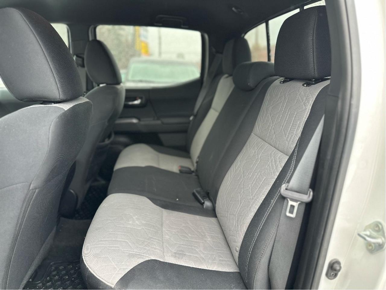 2023 Toyota Tacoma TRD Sport Photo