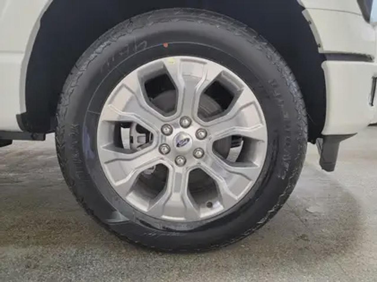 13660169