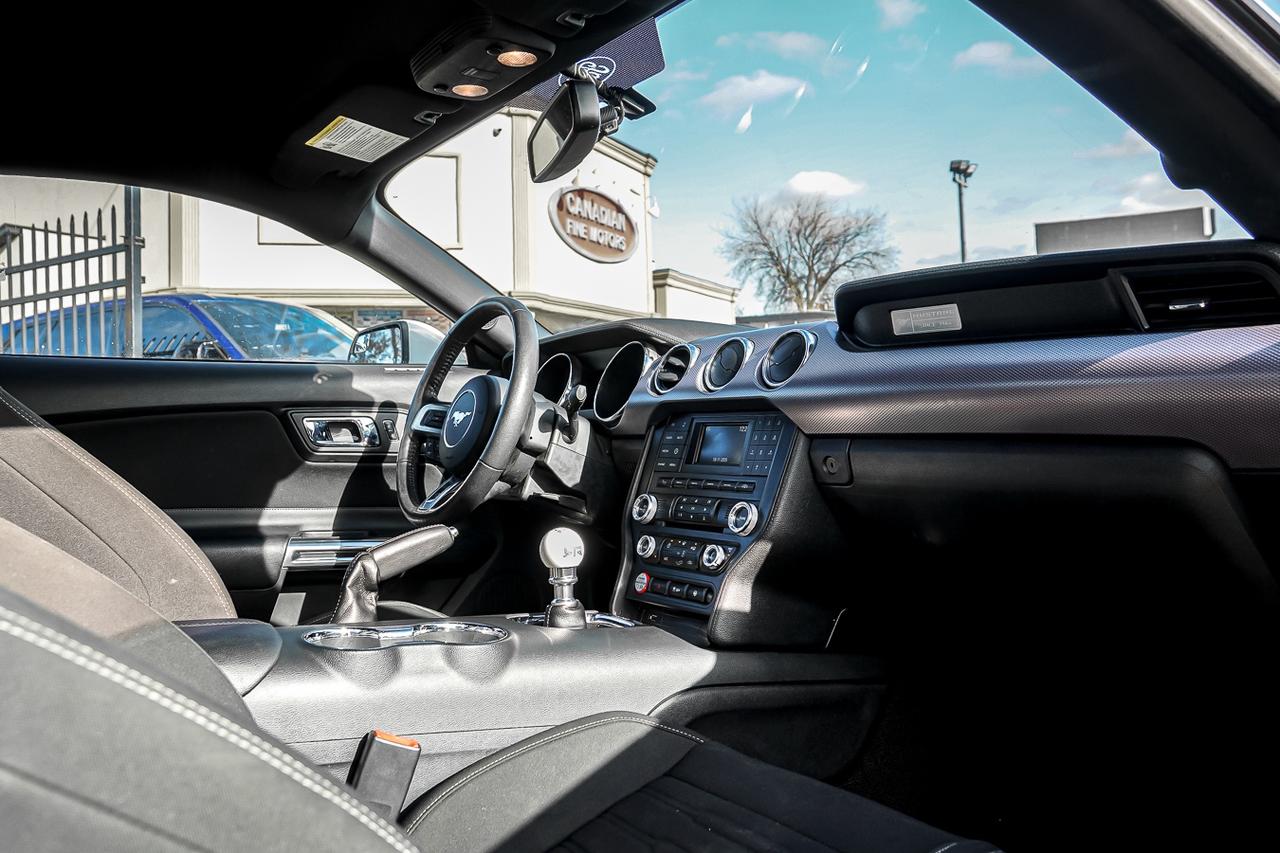2017 Ford Mustang GT FASTBACK MANUAL GEAR | CLEAN CARFAX | HEATED SE Photo