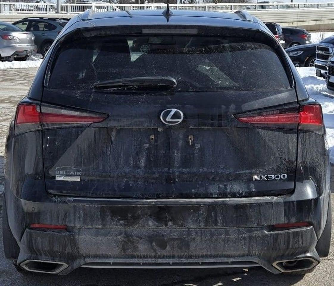 2021 Lexus NX NX 300 / NO ACCIDENTS / ONE OWNER / NAV / ROOF Photo