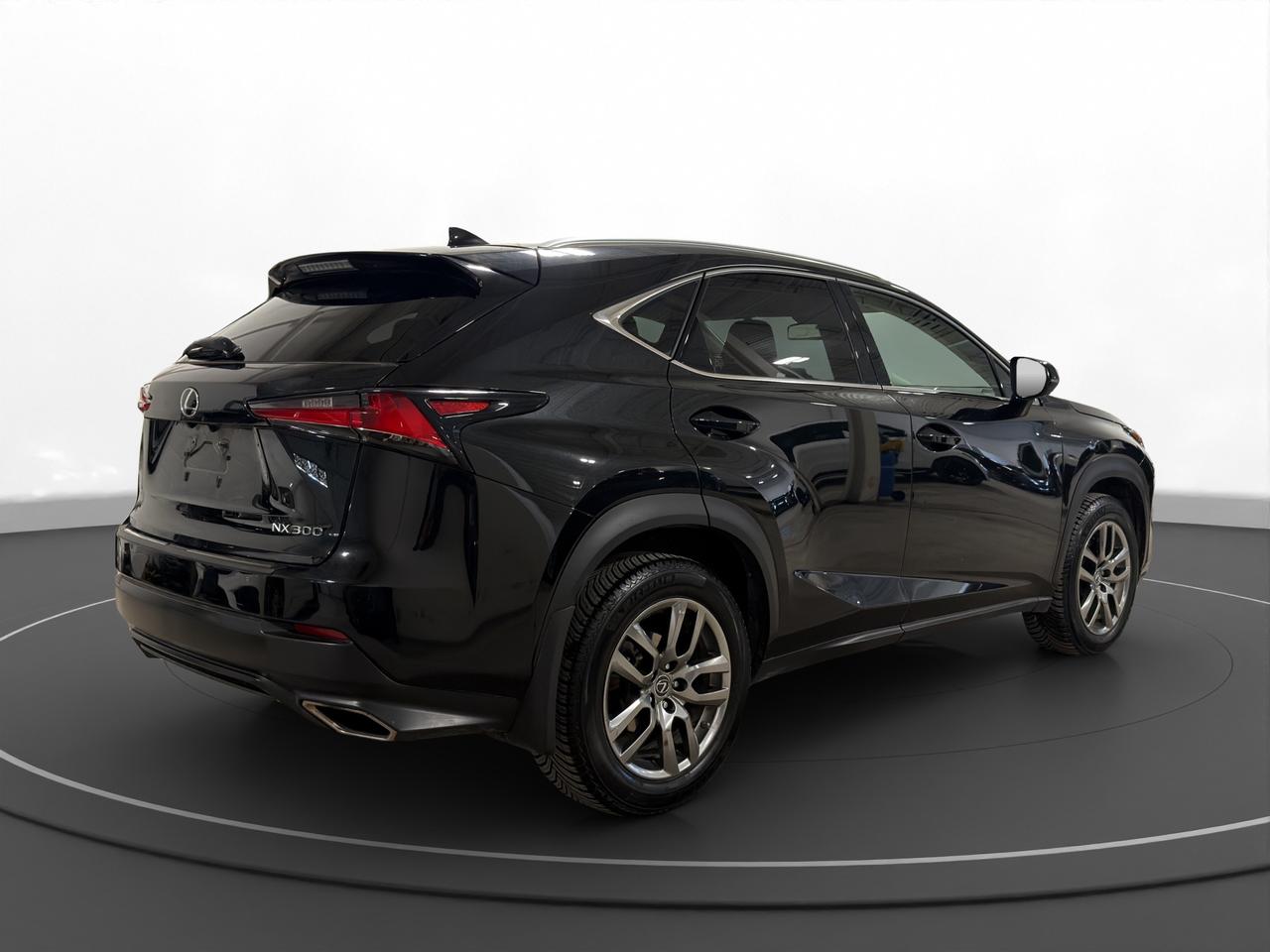 2018 Lexus NX NX 300 Photo
