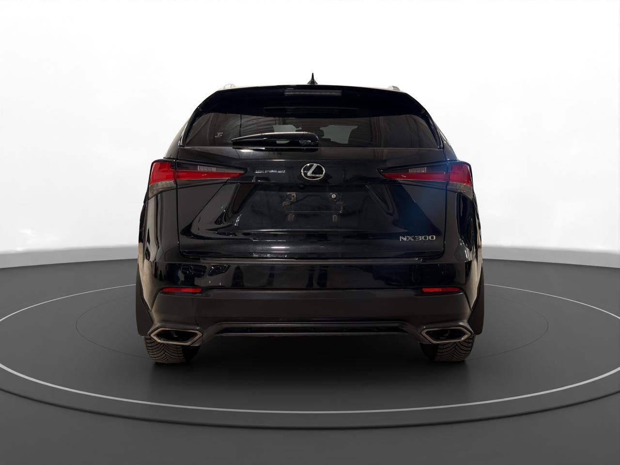 2018 Lexus NX NX 300 Photo2