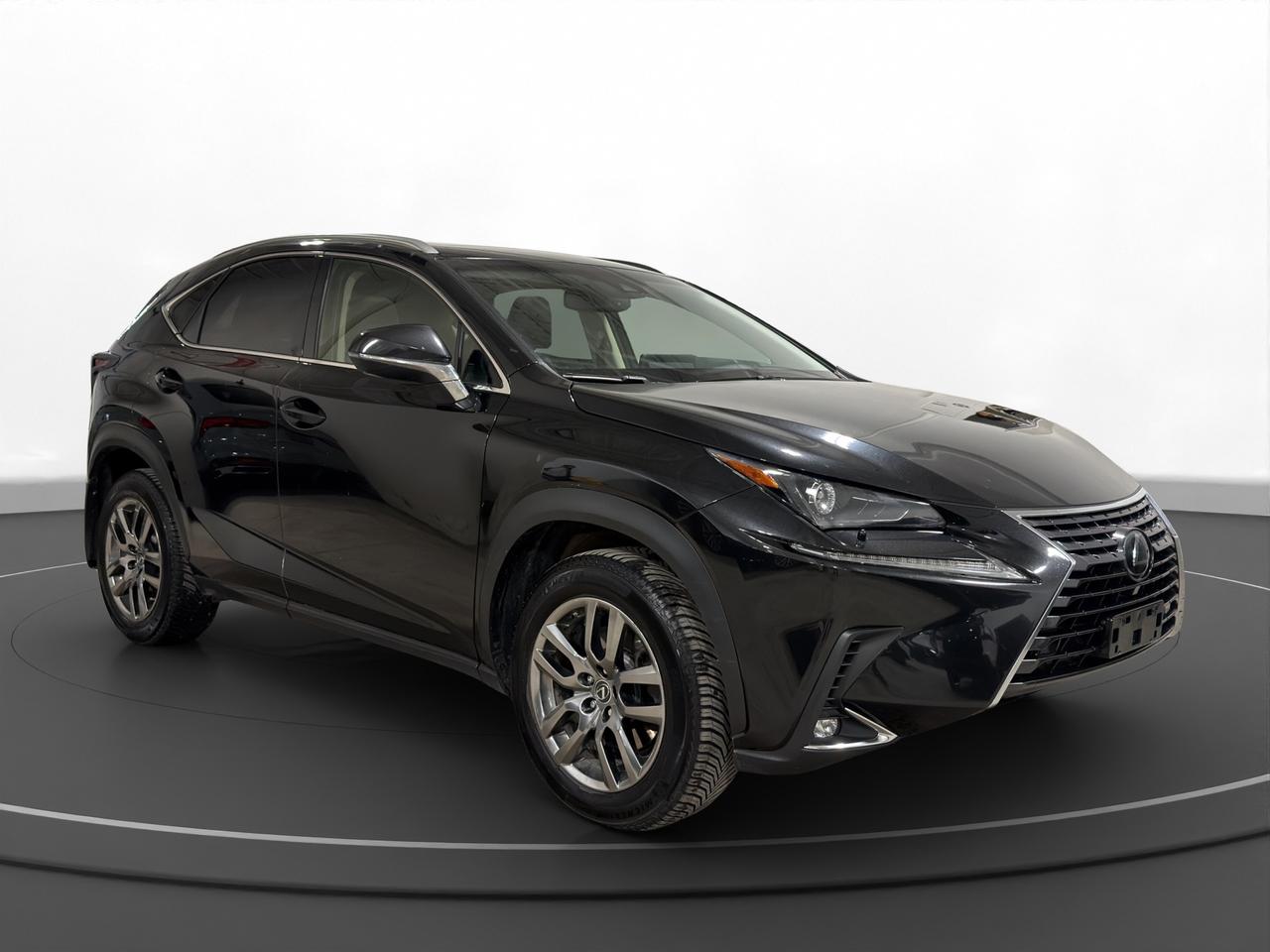 2018 Lexus NX NX 300 Photo