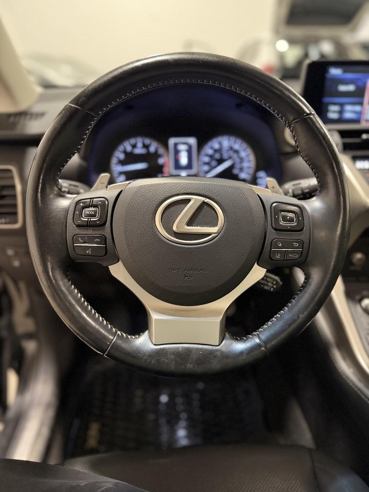 2018 Lexus NX NX 300 Photo