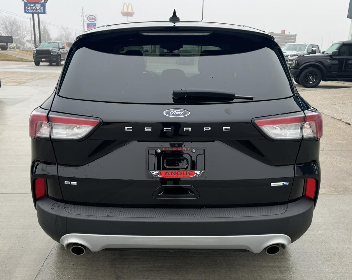 2020 Ford Escape SE AWD Photo