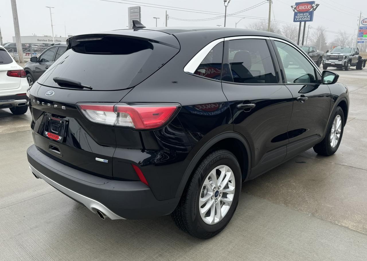 2020 Ford Escape SE AWD Photo