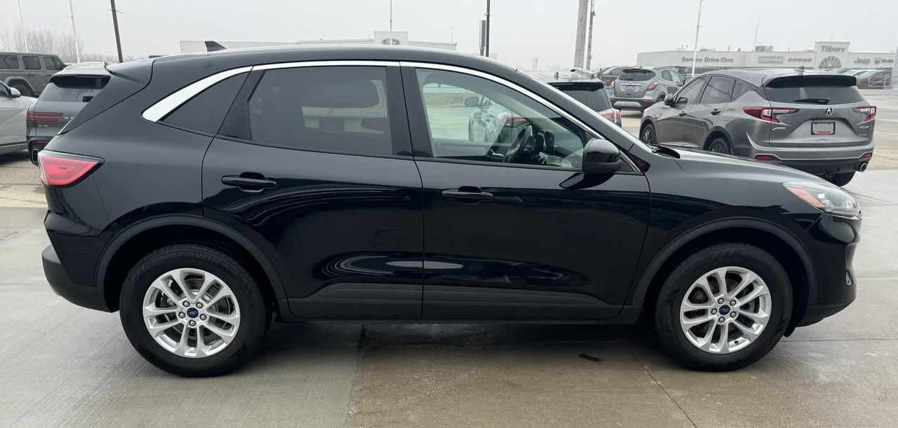 2020 Ford Escape SE AWD Photo