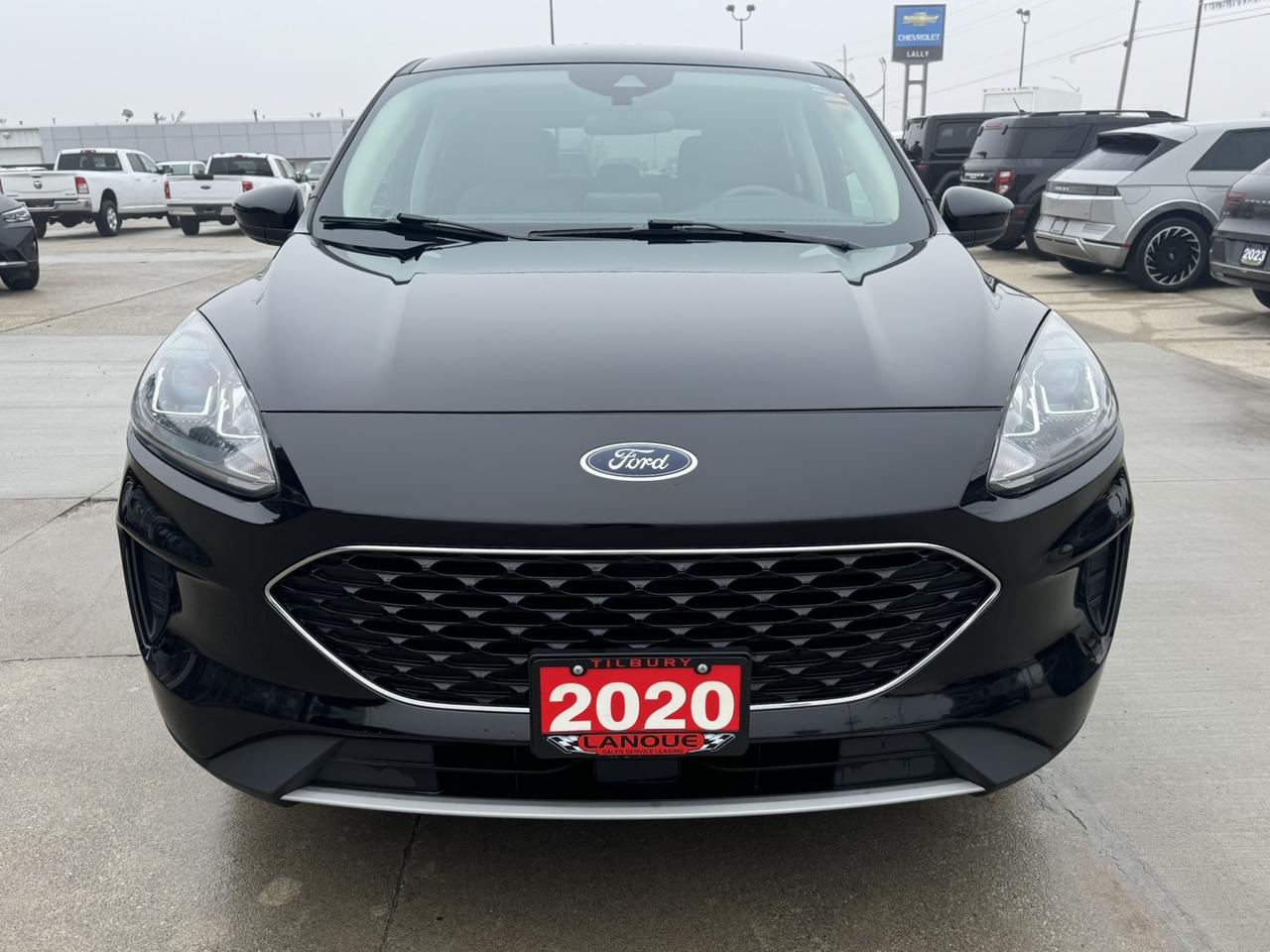 2020 Ford Escape SE AWD Photo