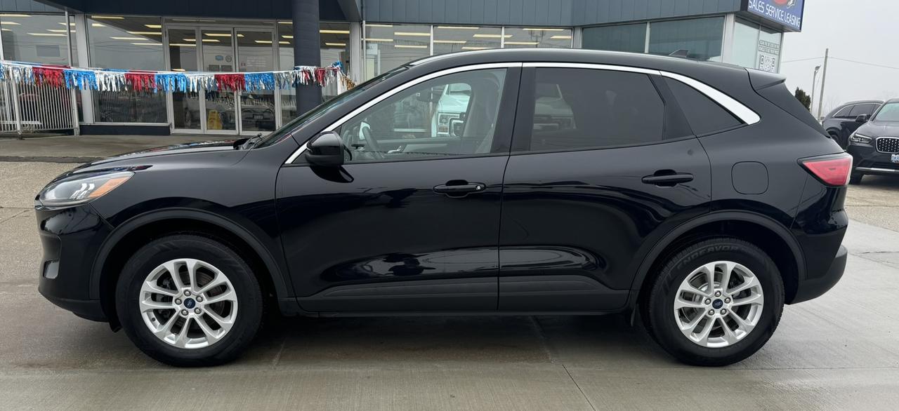 2020 Ford Escape SE AWD Photo