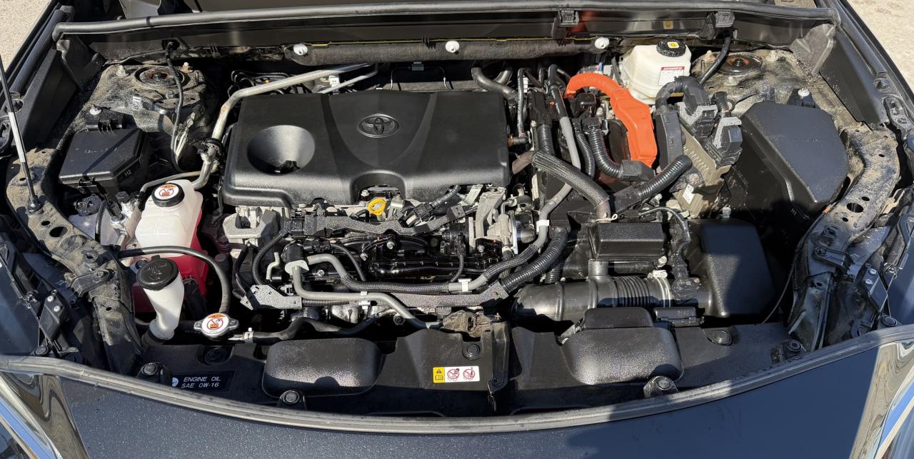 2021 Toyota Venza XLE AWD Photo