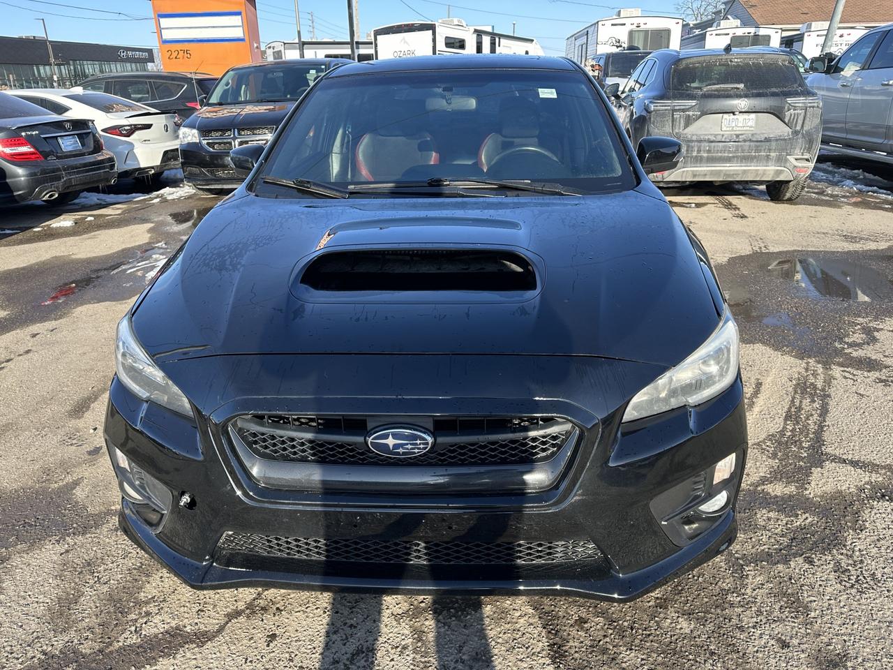 2016 Subaru WRX STI Photo