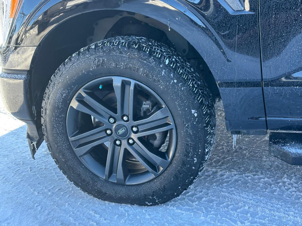 2022 Ford F-150 XLT 4WD SuperCrew 5.5' Box Photo