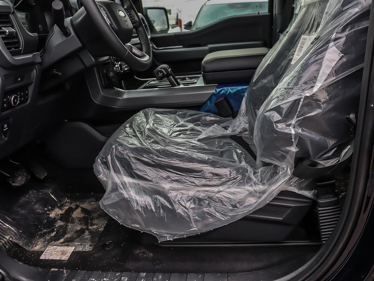 2026 Ford F-150 XLT Photo