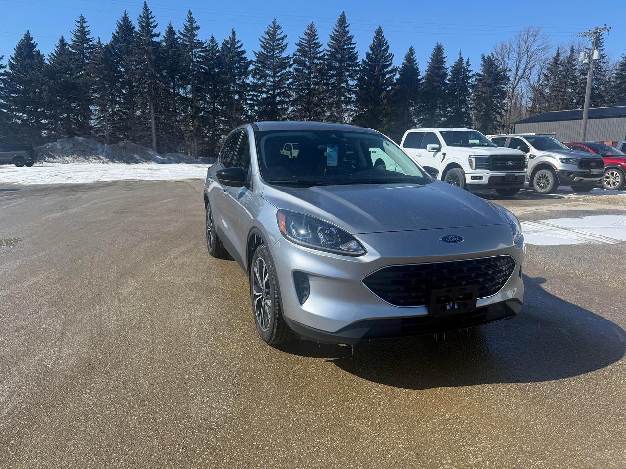 2022 Ford Escape SE AWD Photo1