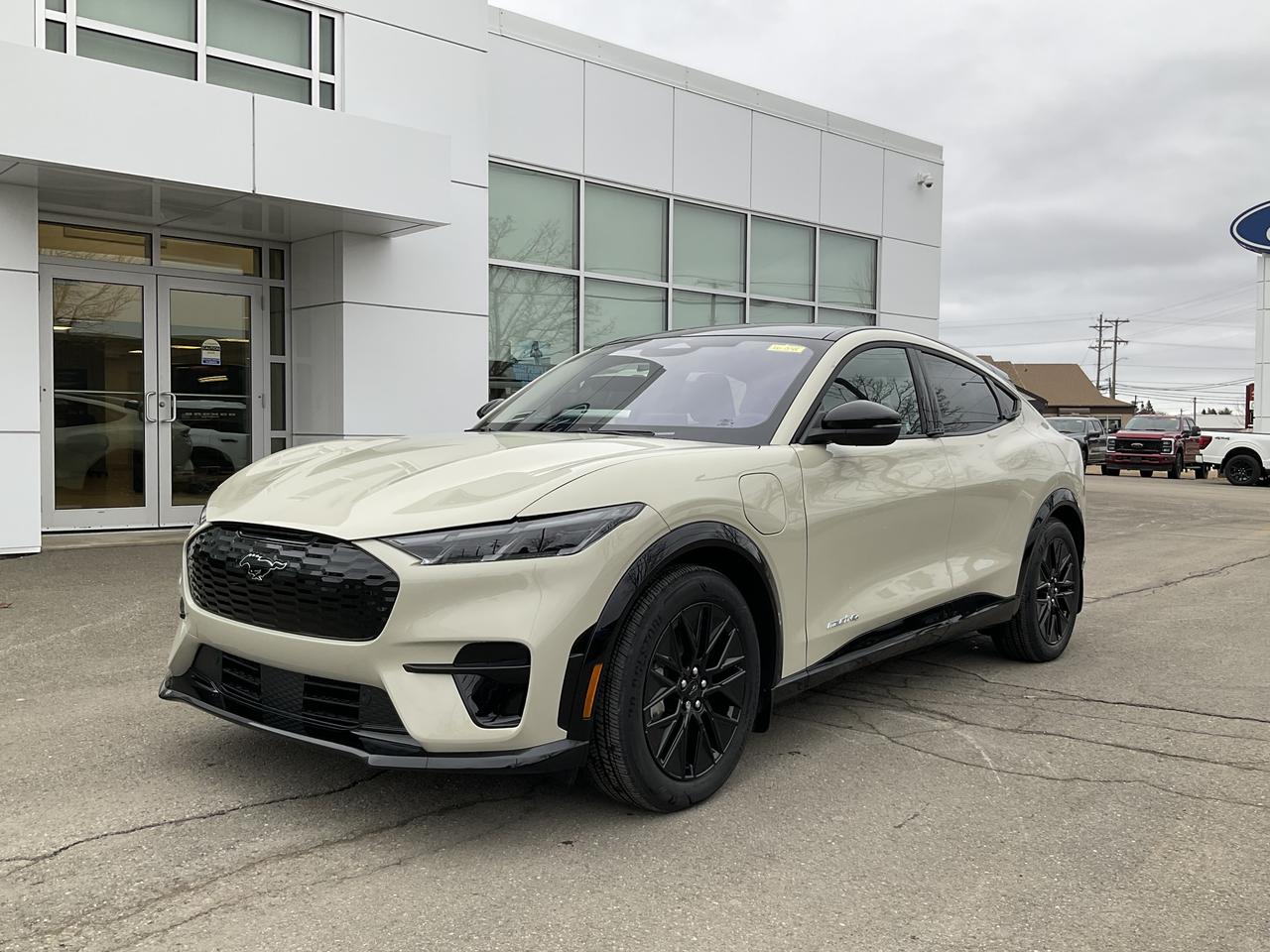 2026 Ford Mustang Mach-E Premium Photo0